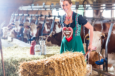 巴伐利亚妇女在牛棚里驾驶推卡奶牛少女装干草牛奶乡村传统谷仓农妇稻草奶牛场图片