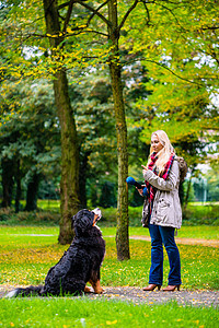 秋天公园女孩训练她的狗顺从草地妈妈注意力动物对讲机宠物山狗情妇遛狗小路图片