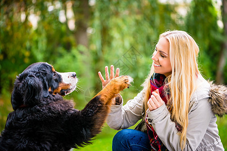 狗用爪子握手给他的女人公园成人情妇注意力草地遛狗对讲机宠物训练妈妈图片