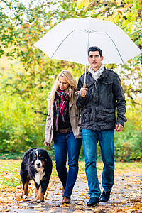 在秋雨中与狗一起走路的男女脚跟动物跑步遛狗对讲机活动爸爸草地公园成人图片