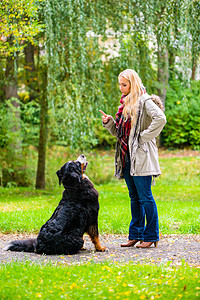 秋天公园女孩训练她的狗顺从对讲机动物山狗成人教学情妇遛狗命令注意力宠物图片