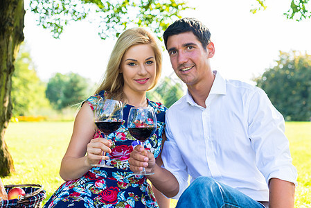 一对夫妇在草地上 喝着野餐情趣红酒幸福女朋友篮子女士娱乐假期男人毯子朋友男朋友图片