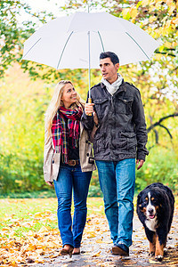 在秋雨中与狗一起走路的男女成人妈妈脚跟夫妻宠物活动天气公园爸爸小路图片