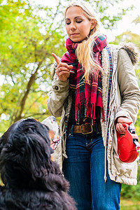 秋天公园女孩训练她的狗顺从成人对讲机山狗教学宠物动物妈妈命令小路情妇图片