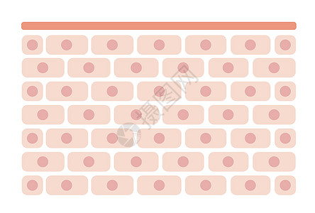 皮肤细胞图案平面它制作图案科学器官解剖学护理插图保健药品图层医疗真皮图片