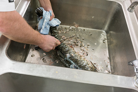 餐厅厨师在厨房里做菜鱼酒店烹饪商业男人打扫白色淡水躯干鱼片食物图片