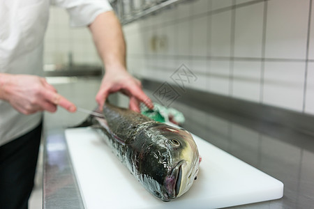 餐饮厨房厨师 填料鱼鱼片淡水男性男人内脏食物商业成人烹饪躯干图片