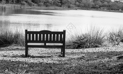 座椅被隔离在一个绿色自然和河流的公园里 黑白两色地标环境黑色风暴河口天空白色旅游河岸图片