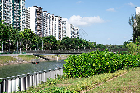 环湖或河流附近有绿公园广告树的住宅共有公寓建筑学房子办公室风景旅行景观商业街道摩天大楼建筑图片