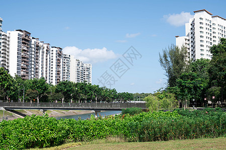 环湖或河流附近有绿公园广告树的住宅共有公寓建筑办公室公园景观街道建筑学蓝色房子摩天大楼风景图片