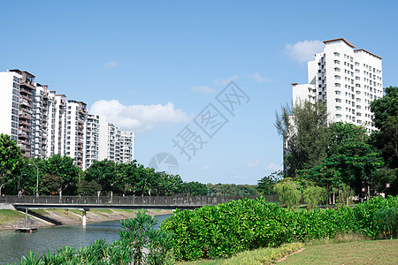 环湖或河流附近有绿公园广告树的住宅共有公寓街道办公室房子摩天大楼风景景观建筑旅行建筑学公园图片