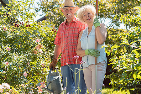 在园艺工作期间 在丈夫旁边站着的活跃 快乐和幸福的老年妇女女性稻草男性衬衫晴天长老花园老年人冒充爱好图片