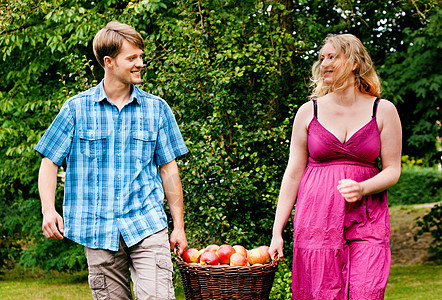 携带苹果篮子的夫妇女士草地园艺收成水果花园植物种植园女性男人图片