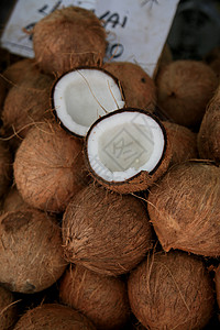 供交易会出售的干椰子商务水果养分椰丝热带棕榈食物烹饪食谱人士图片