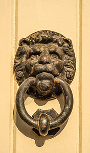 以狮子头形的黄铜敲门 漂亮的入屋入口 很美丽门把手旅行建筑学木头橡木雕塑历史金属门铃青铜图片