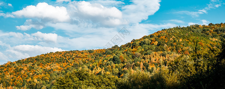 山丘的秋色植物树木日落场景旅游爬坡森林季节公园阳光图片