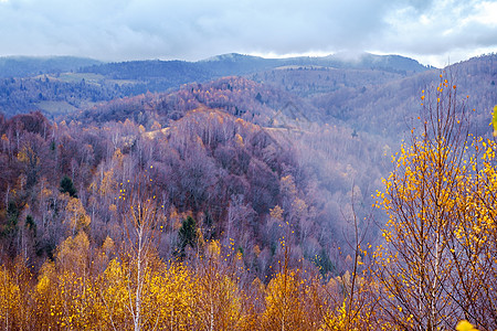 罗马尼亚山脉的秋天风景图全景爬坡道高地森林旅行树木村庄房子高度天空图片
