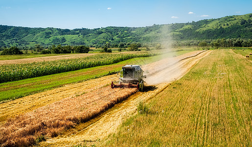 夏日阳光下小麦田的收割者图片