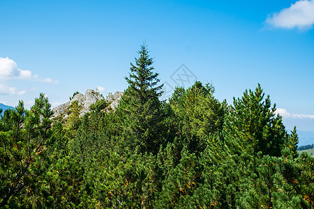 罗马尼亚雷特扎特国家公园上空的风景场景荒野国家草地山脉运动岩石公园苔藓天空图片