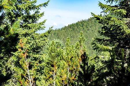 罗马尼亚雷特扎特国家公园上空的风景石头荒野波峰森林国家全景草地岩石场景公园图片