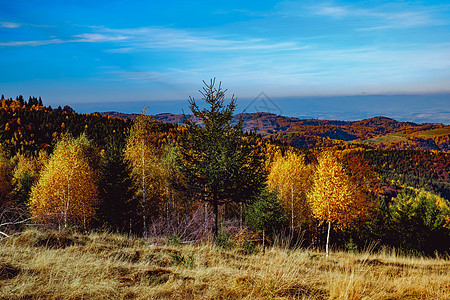 罗马尼亚山区美丽的秋天风景 罗马尼亚山地农家小屋旅行小木屋建筑天空羊圈草堆森林村庄图片