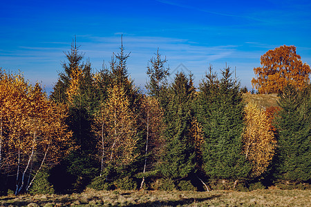 罗马尼亚山区美丽的秋天风景 罗马尼亚山地天空蓝色房子农场森林农家建筑草地爬坡农村图片