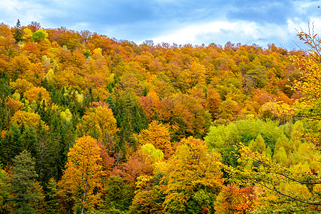 罗马尼亚喀尔巴阡山脉多姿多彩的秋季风景树木场景蓝色山脉牧场村庄小路森林房子天空图片