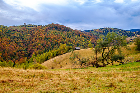 罗马尼亚喀尔巴阡山脉多姿多彩的秋季风景草地爬坡树木村庄小路农村天空场景蓝色旅行图片