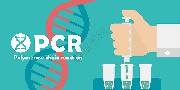 PCR 聚合酶链反应测试横幅插图新型冠状病毒实验室公司药品制药微生物学工具成套实验程序暴发图片