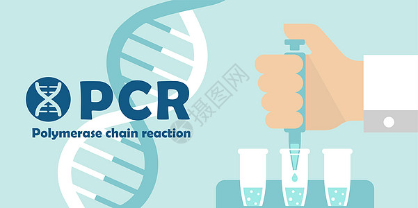 PCR 聚合酶链反应测试横幅插图新型冠状病毒控制生物实验化学医院医生研究制药健康暴发图片