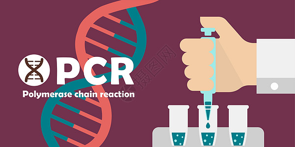 PCR 聚合酶链反应测试横幅插图新型冠状病毒控制健康管子医院技术公司网络流行病科学疾病图片