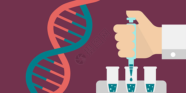 PCR 聚合酶链反应测试横幅插图新型冠状病毒科学工具化学公司医生微生物学管子实验微管成套图片