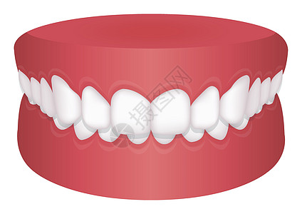 牙齿问题咬合类型矢量图深钻图片