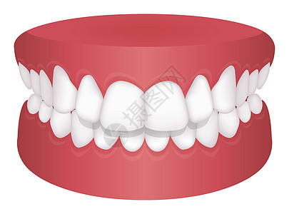 牙齿问题咬合类型矢量图矫正牙医假牙空腔牙列口服治疗牙科3d疾病图片