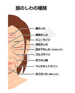 面部皱纹女性面部矢量图日本化妆品女士卡通片老化鱼尾纹治疗成人前额皮肤脖子图片