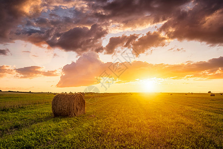 夏季或秋天初夜在一片田地里晒日落 有干草堆 背景是云层 在农业中购买动物饲料食物太阳光蓝色农场阳光太阳日出干草收成稻草图片