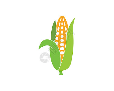玉米矢量图标插图设计食品爆米花文化植物蔬菜棒子餐厅营养叶子植物群图片