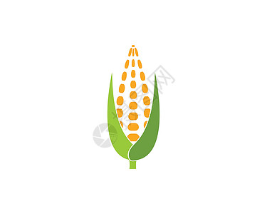 玉米矢量图标插图设计叶子农业蔬菜产品小吃收成植物植被食物植物群图片