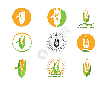 玉米矢量图标插图设计叶子产品饮食内核植物群收成植物农业粮食金子图片