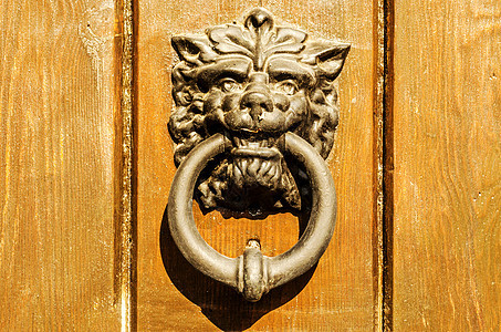 以狮子头形的黄铜敲门 漂亮的入屋入口 很美丽建筑学金属橡木圆圈历史门把手门铃古董木头青铜图片