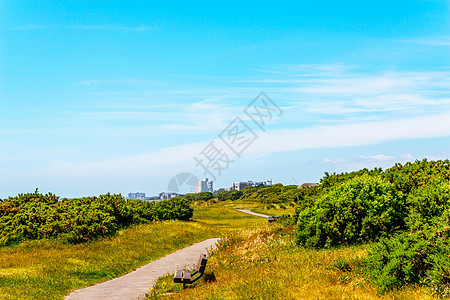 海边城镇一个城市公园的Pedestrian小巷 绿色植被 积极休息旅游小路环境晴天场景长廊树木季节风景美丽图片