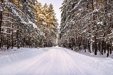 在阳光明媚的一天 汽车路穿过松树冬季森林 带雪低温旅行场景季节木头树干林地运输小路雪堆图片