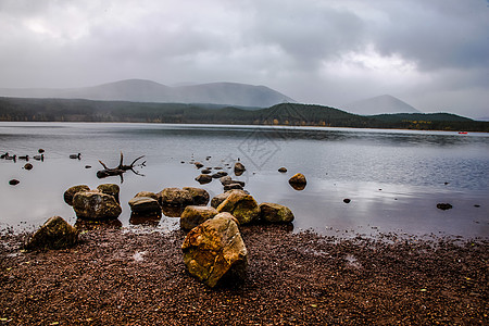 联合王国Cairngorm山 苏格兰美丽的洛克莫利希湖蓝色树木场景农村目的地反射石头天空高地林地图片