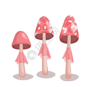 蘑菇设置了白色背景上孤立的图标 可爱仙子蘑菇 用于包装 横幅 卡片和其他设计的模版矢量示意图图片