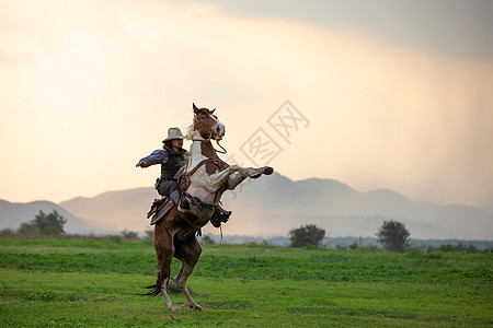 在日落时骑马骑牛仔男性太阳成人帽子骑师竞赛运动马匹荒野场地图片