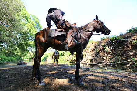 在日落时骑马骑牛仔速度骑师帽子太阳马背运动马匹男人动物荒野图片