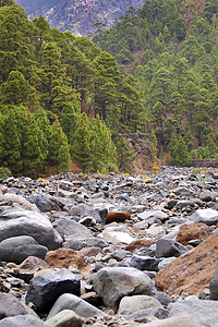 国家公园 加那利群岛 西班牙旅行保护野生动物火山风景瀑布溪流陨石生态旅游岩石图片