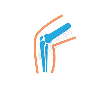 膝关节骨标志矢量图制作图案骨骼股骨滑膜脊柱生物学疾病骨头疼痛手术解剖学图片