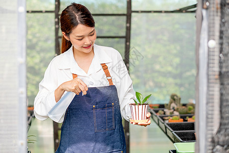 美丽的亚洲女孩拿着雾瓶 喷水种在小盆里 坐在她家的绿色花园里 小型企业的可持续发展与种植植物的概念有关图片