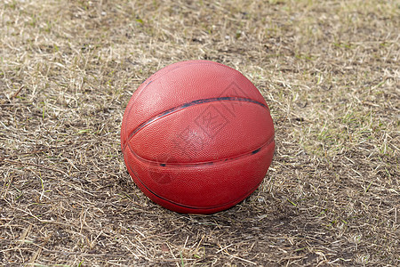 旱草上的篮球红橙色球 阳光秋天图片